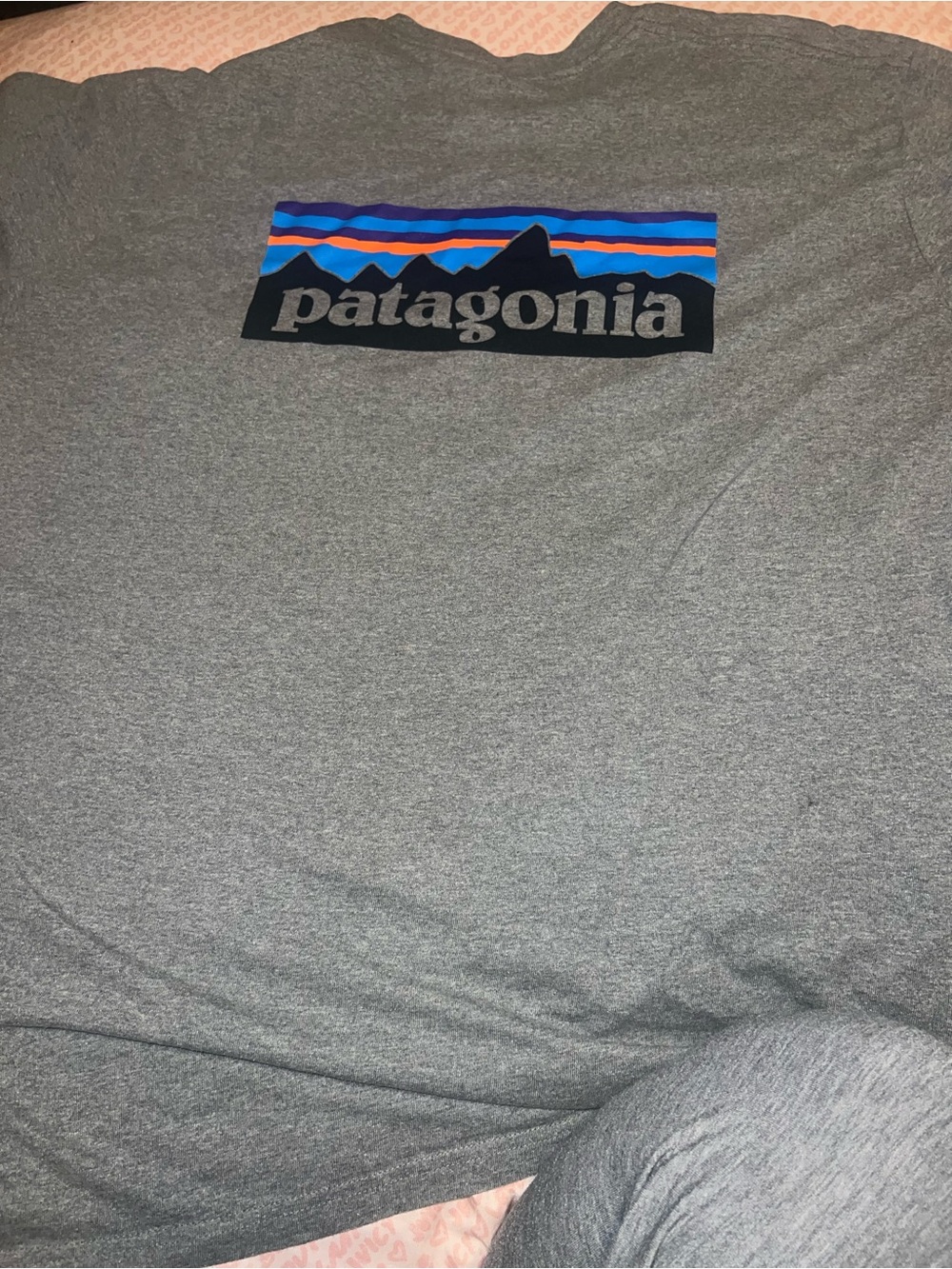 Patagonia men’s short sleeve tshirt size XXL